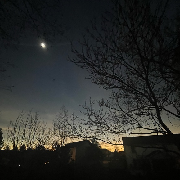 Meet your Posher, Shalom - Picture 1 of 1